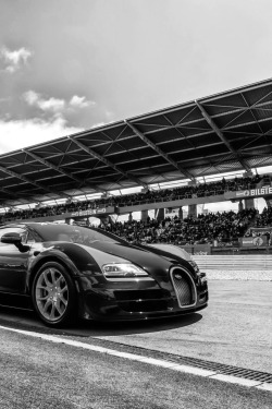 Va-Nquish:  Bugatti | More 