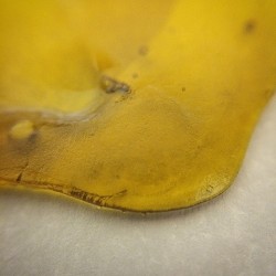 weedporndaily:  @king_concepts Skywalker OG Shatter that just came in!! by 420firedepartment http://ift.tt/1lWx49d