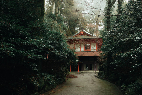 hakone in the rain - march 2019