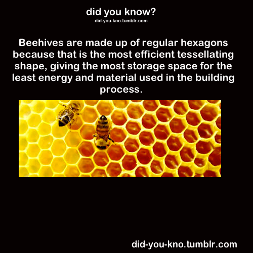 did-you-kno:  Source