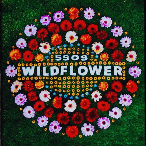 5sos: Wildflower // March 25 //  smarturl.it/CALM5SOS Yes