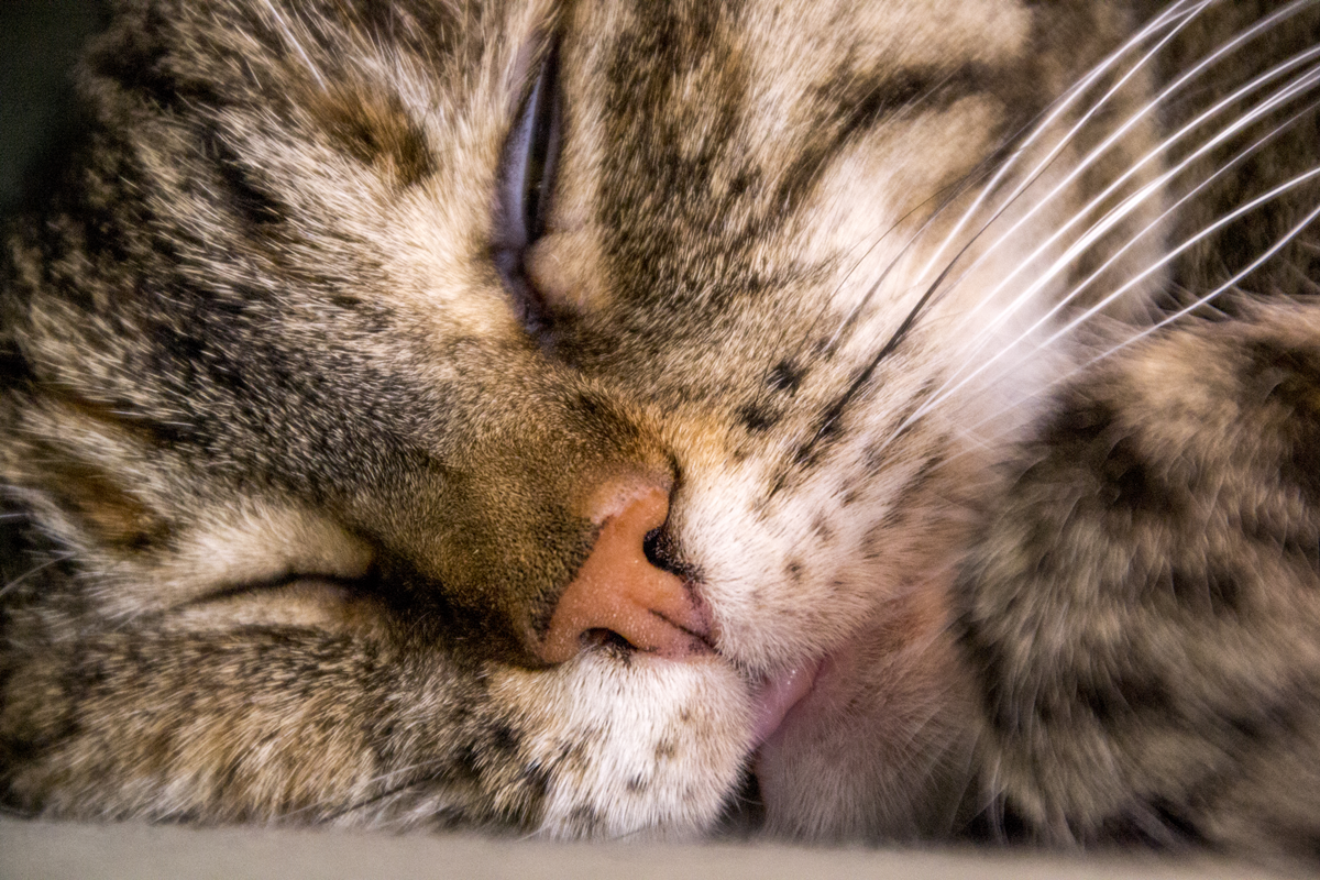 herm-a-lerm:  Bleeep~ 