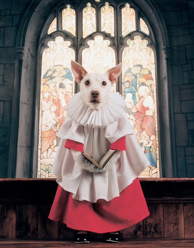 welele:  Peter Thorpe tiene la tradición de disfrazar a su perro por navidad En
