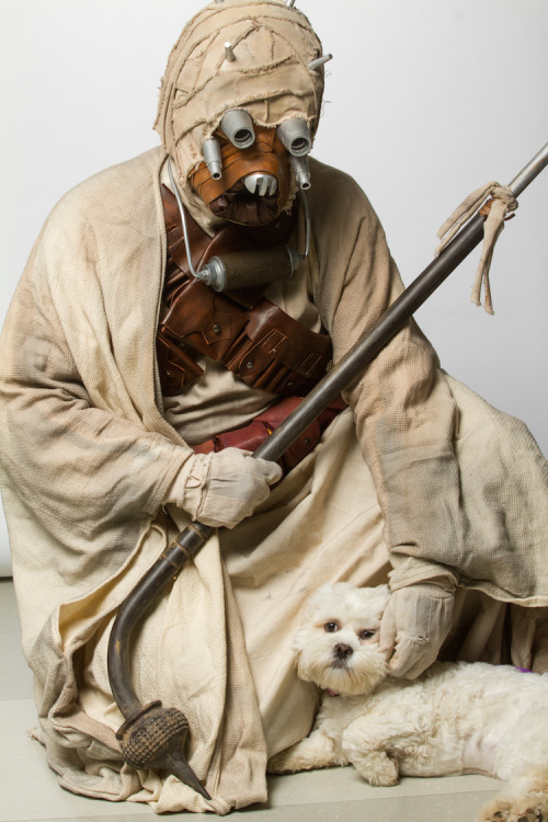 laughingsquid:  Star Wars Cosplayers Pose adult photos