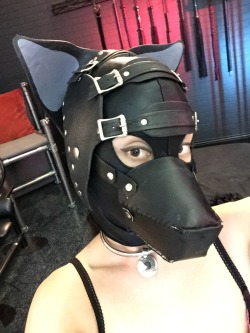 Master and Pup-pet's place