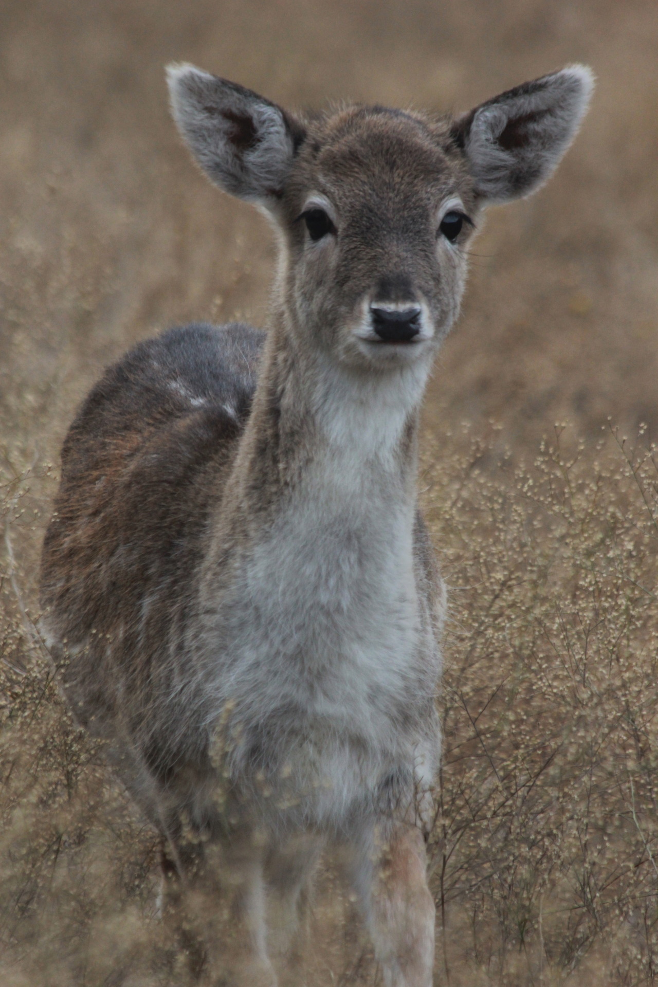 definitelydope:  (by Blake Lumley) 