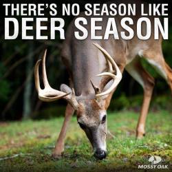 the-real-country-life:  Damn right!