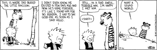 constellation-funk:  alriggs:  secretlifeofageekygirl:  scarcerare:  Some of my favorite Calvin and Hobbes strips. Bill Watterson had such an incredible cryptic and philosophical style, and it just makes me excited to read the comics over and over again.