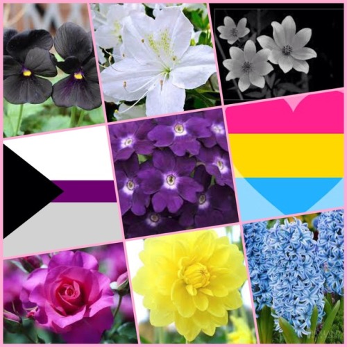 lgbt-moonboards-aesthetics: Demisexual panromantic with flowers for @hufflepuff-icedragonqueen by Mi