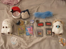 first pic is my convention gets. finally got that mew fullart card for a decent price. the otters toys were irresistible. the custom chibi snorlax thing was super cheap and im gonna have to check out that person’s other plushes lateryarn yoshi i ordered