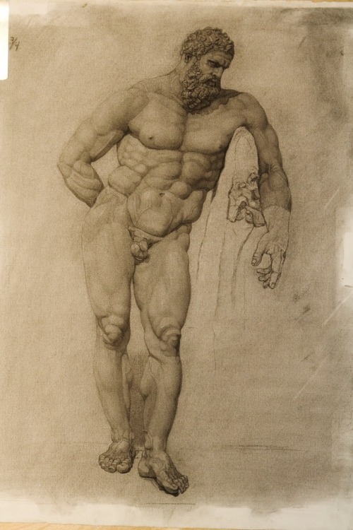 hadrian6: Farnese Hercules.   P.Brad Parker. American sculptor. charcoal sketch.  h