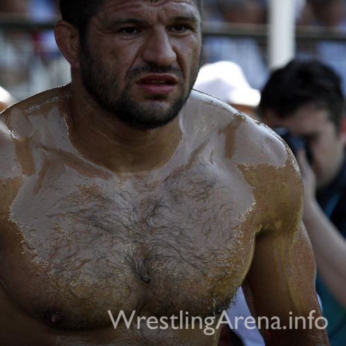 Porn Pics Turkish oil wrestling (Yağlı güreş)