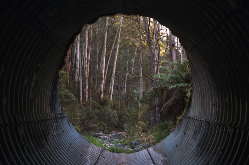 hladky:  Cabramurra NSW, 2015website / tumblr / flickr / blog 