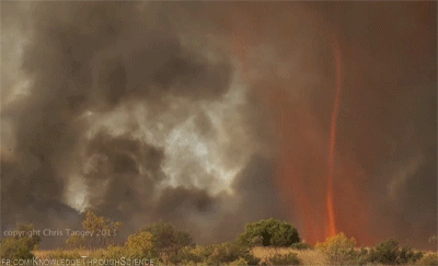 knowledgethroughscience:  Fire tornadoes (also called fire whirls, firenados, fire