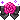 blackmagentarosebow