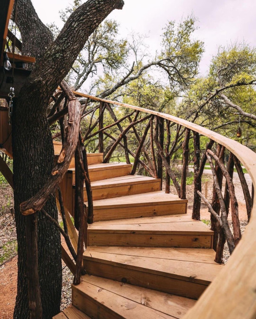 happygetlucky17: lilbitsavages: utwo: The Treehouses at HoneyTree FarmFrediricksburg Texas© HoneyTre