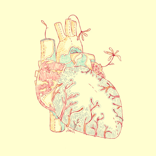 sketchbooknowledge:1. Heart2. Womb Currently doing a series called Organic. For this illustration 