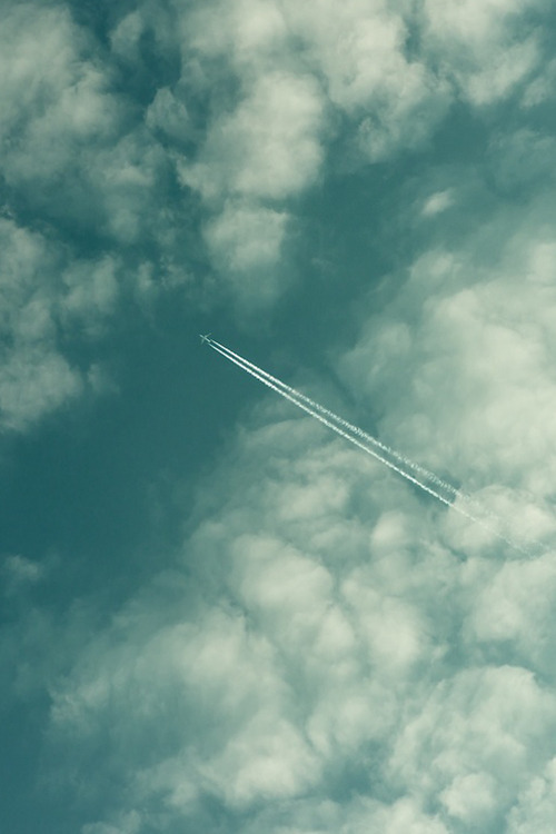 obscvred:  Source | Photographer