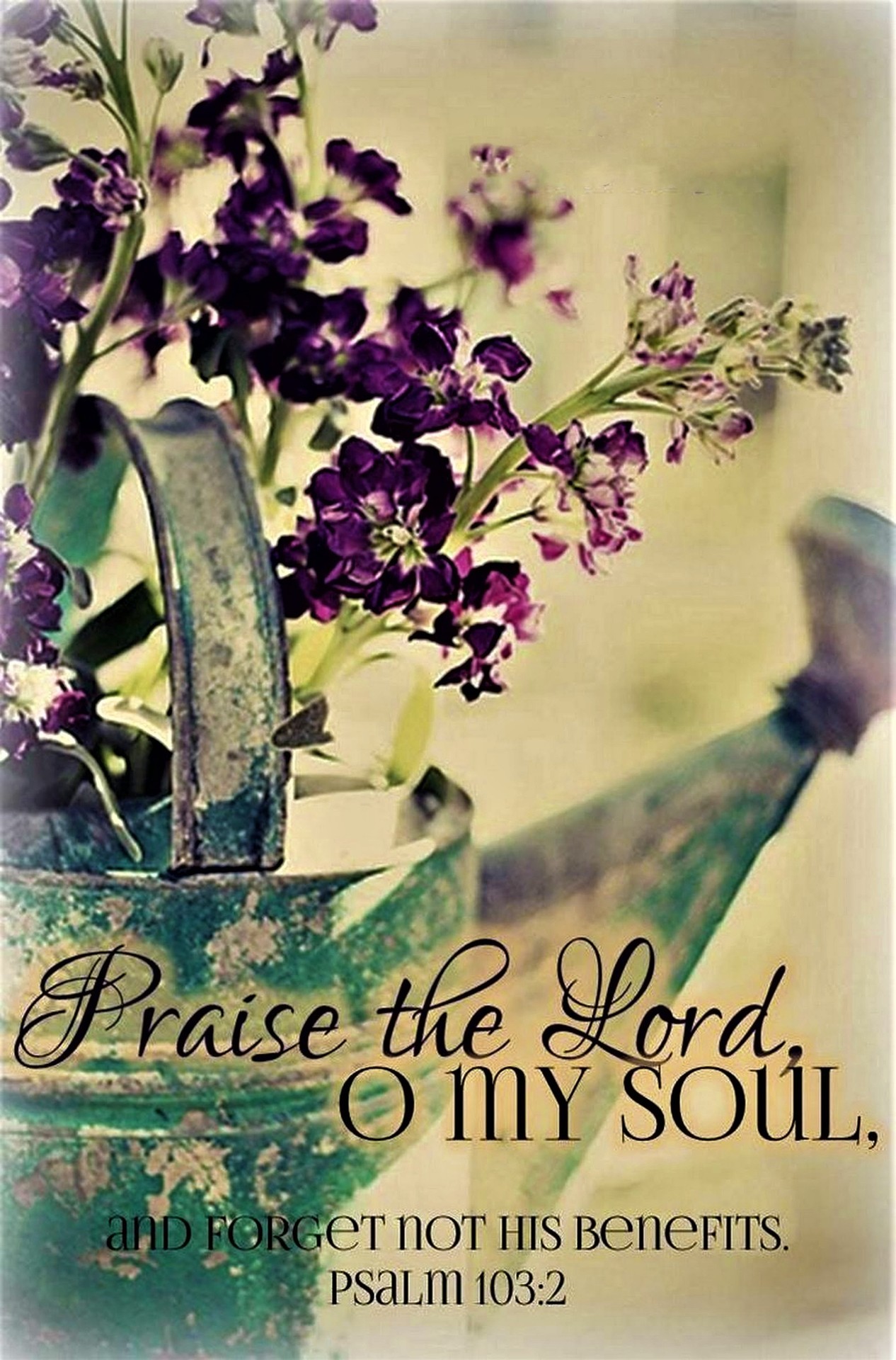 the-living-psalm-103-2-nkjv-bless-the-lord-o-my-soul