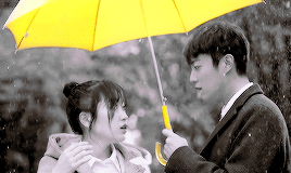 rabonghee:    “somewhere out there, there is a yellow umbrella for everyone.”  