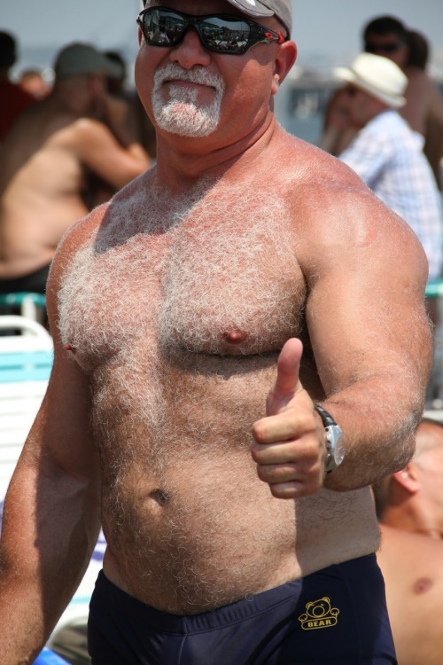 flattopcub: I love gray fur! More hot daddies on einheri.tumblr.com