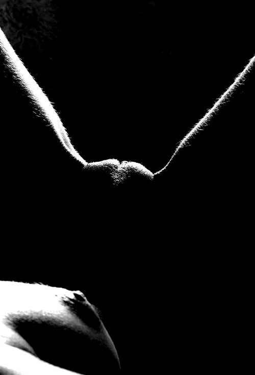 black-and-white-erotic-art:  ⚫️⚪️ adult photos