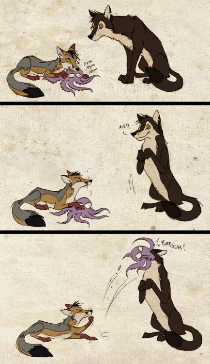 twizz-doodles:  azula-griffon:  verysaltyonions:  ask-ace-n-angel:  FOXES!!!  What  Hnnnn i remember reading these when i was 11 <33  Culpeo-fox senpai  YES I REMEMBER THESE  OMG Culpeo~ >w<