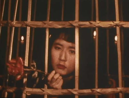phantomladyoverparis:Hatsukoi (1989), dir. Mari Terashima 