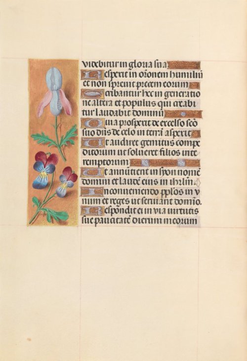 Hours of Queen Isabella the Catholic, Queen of Spain: Fol. 207v, Master of the First Prayerbook of M