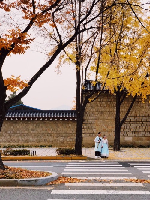 Gyeongbokgung autumn.