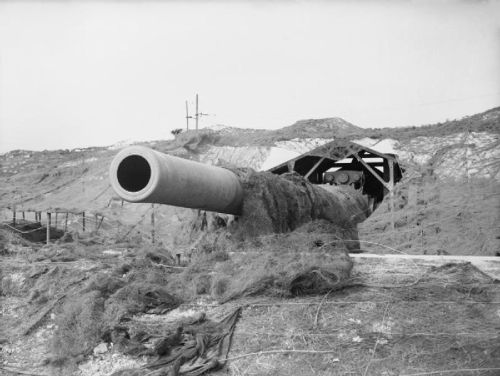 peashooter85:The Big Guns of Hellfire Corner, Dover Straits, World War IIWhen the Germans captured F