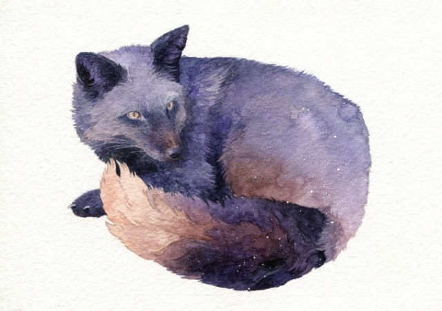 anfae:Dusk fox ✨