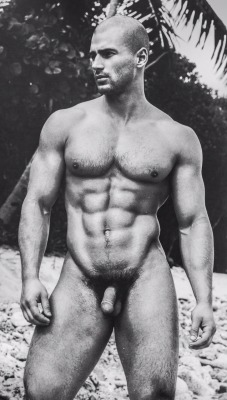 rapideyesmovement: Todd Sanfield