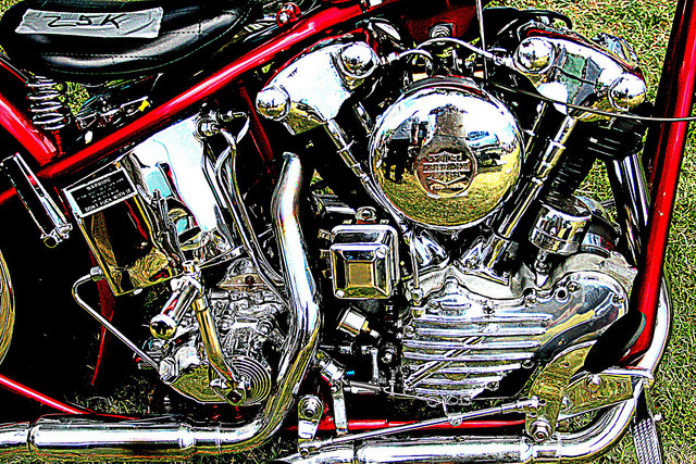 big-dewlittle:  sweet knucklehead… by woodwork’s on Flickr. 