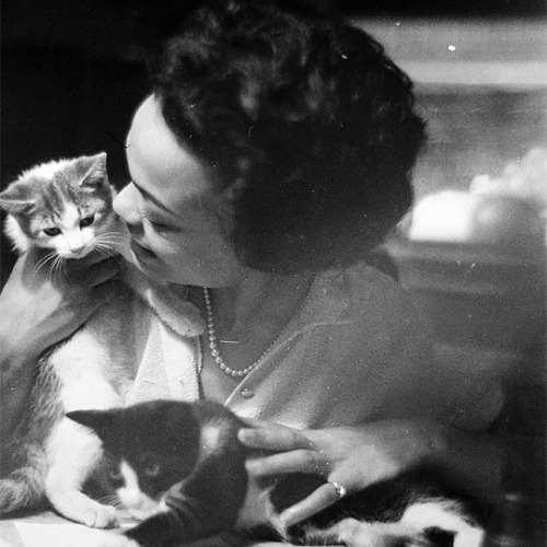 maggiepollitts: Eartha Kitt. Photographed by Gordon Parks. (1952)
