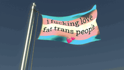 kobresias:bromantically:erinisdarling:bromantically:[ID: 3 gifs and a text banner.The