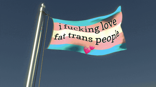 kobresias:bromantically:erinisdarling:bromantically:[ID: 3 gifs and a text banner.The first gif is of driving by a billboard with a trans flag on it and text that reads, “fat trans people are so fuckin epic”. The second gif is a trans flag