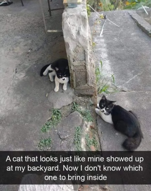 Caught Them At Shift Change