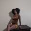 azia-sade123