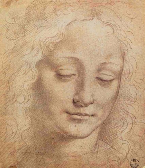 artgods:  Female Head | Leonardo Da Vinci