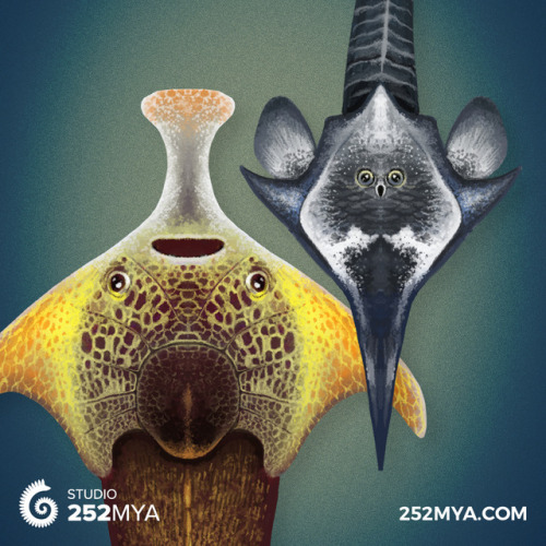 252mya:Watch out, this space is about to smell like dead fish.