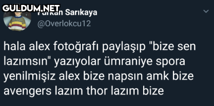 Furkan Sarikaya...