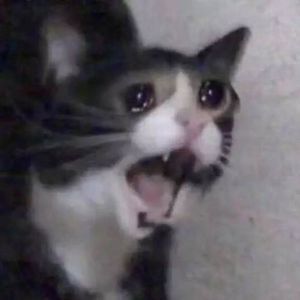 Some Pictures Of Me After Watching Good Omens S2