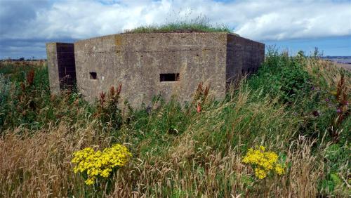 Pillboxes on the North Yorkshire Coast, England.