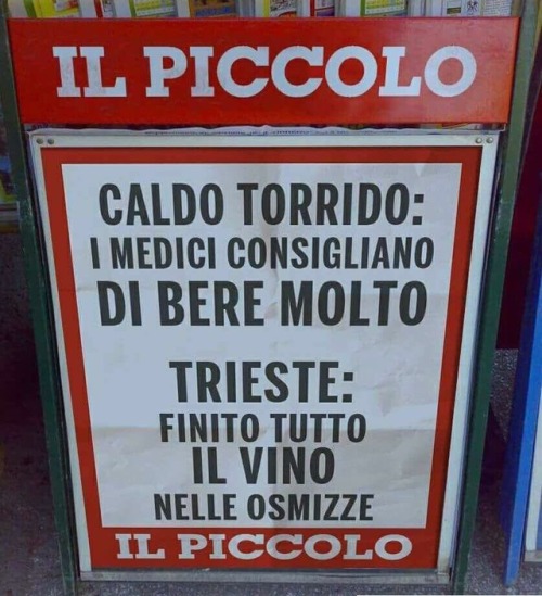 tumblr photo polworld 0