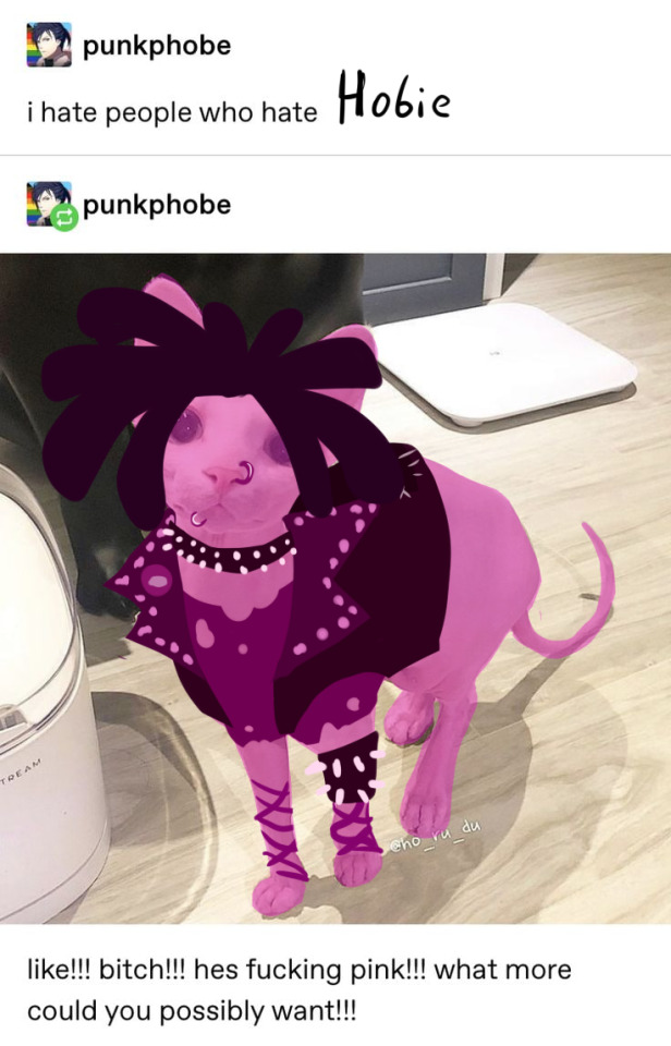 Tumblr media