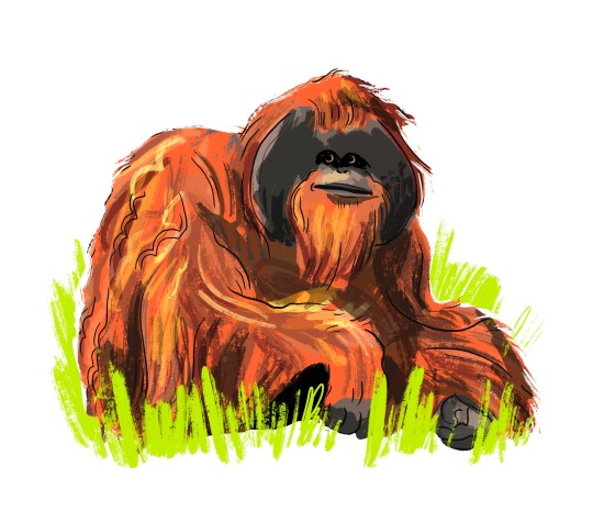 otterlogic:Some orangutans and gibbons I’ve drawn recently. Go primates! 