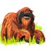 otterlogic:Some orangutans and gibbons I’ve drawn recently. Go primates! 