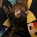 butchmandalorian:Donut’s butt is a pillow ft. Inside out ear