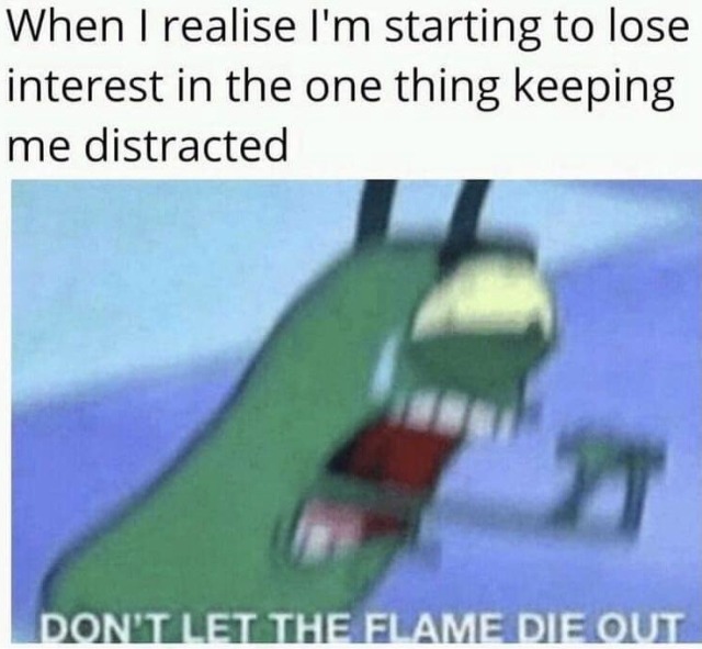 dankmemeuniversity:
